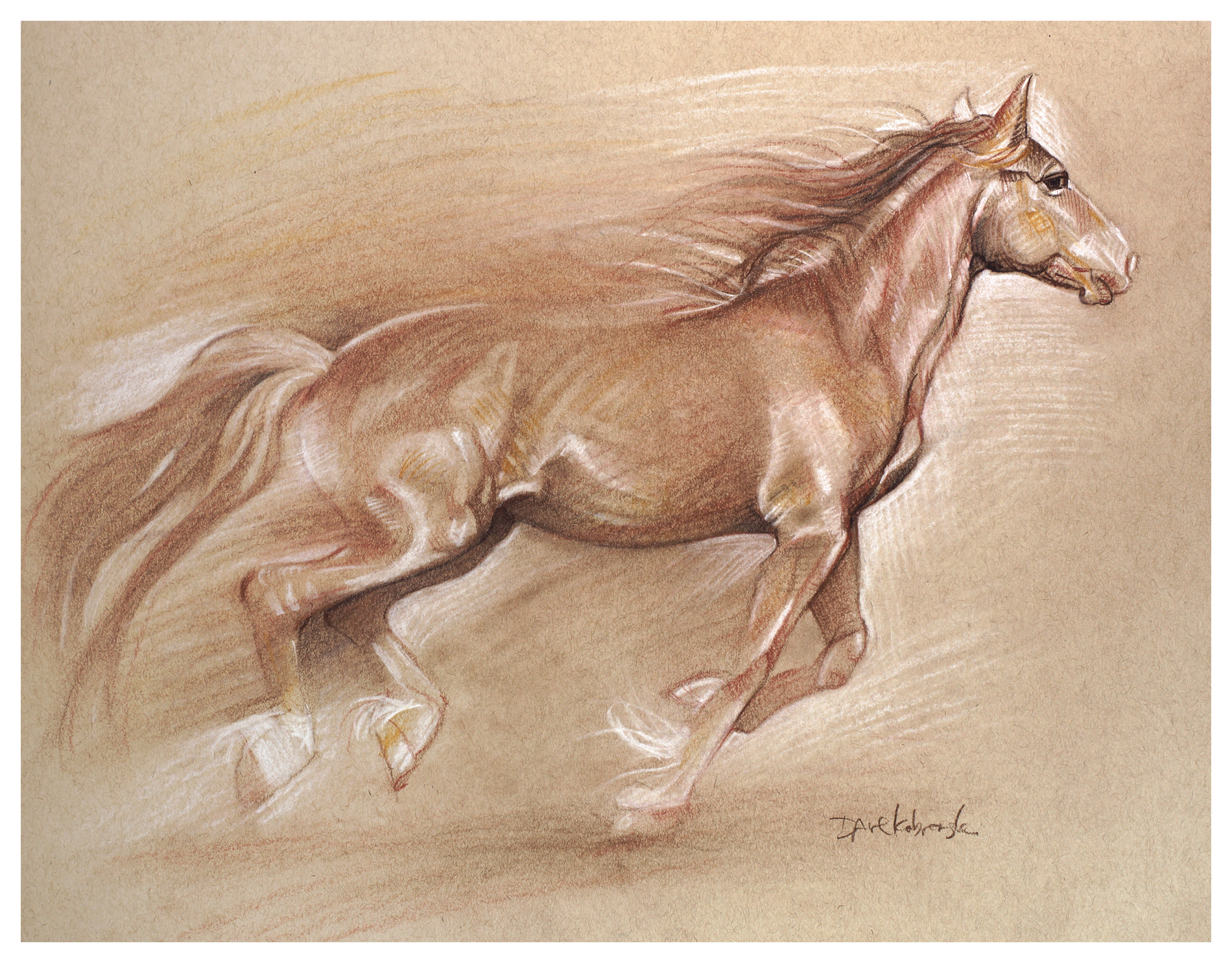 1900x1486 wild horse ii spirit animals wild places drawing - Wild Horse Drawing