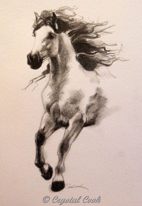 483x700 Running Wild Horse Sketch - Wild Horse Drawing