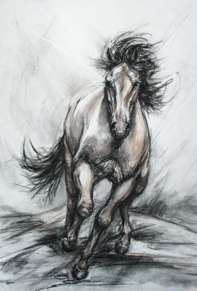 406x600 Galloping Steed, Wild Horse Drawing - Wild Horse Drawing