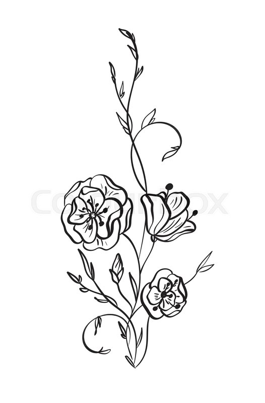 526x800 Hand Drawn Wild Rose Flowers Vector Stock Vector Colourbox - Wild Rose Drawing