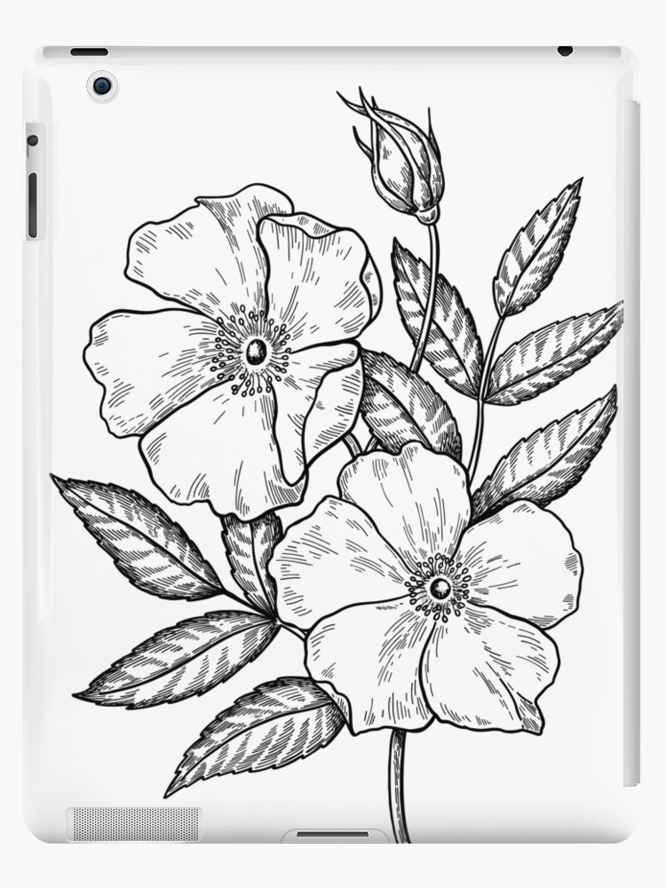 750x1000 Wild Rose Botanical Drawing Ipad Cases Skins - Wild Rose Drawing