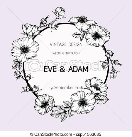 450x470 Wild Rose Flower Frame Drawing - Wild Rose Drawing