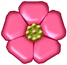 233x225 Filewildrose Drawing - Wild Rose Drawing