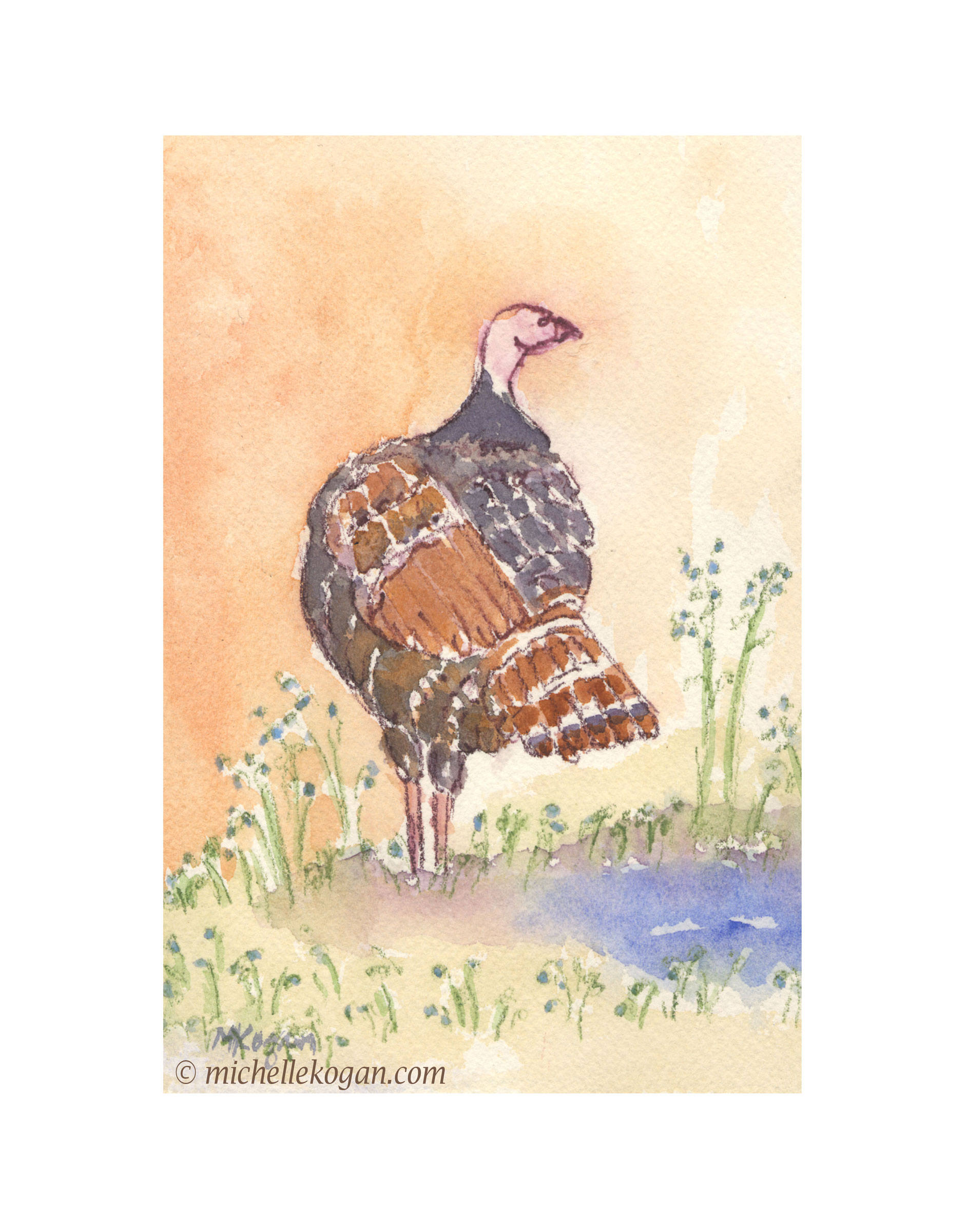 1882x2400 Wild Turkey Archival Print - Wild Turkey Drawing