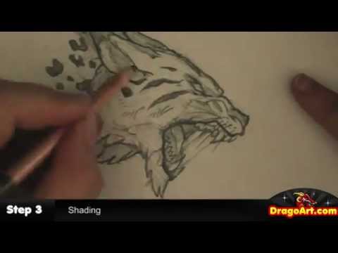 480x360 how to draw a wildcat, tiger lynx sketch, step - Wildcat Drawing