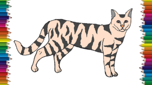 300x169 how to draw a wildcat step - Wildcat Drawing