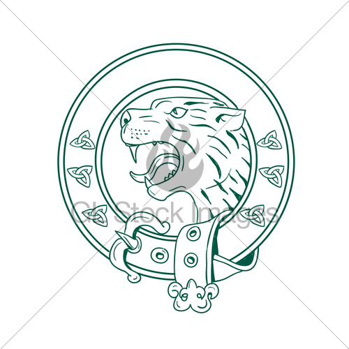 500x500 scottish wildcat head celtic belt drawing gl stock images - Wildcat Drawing