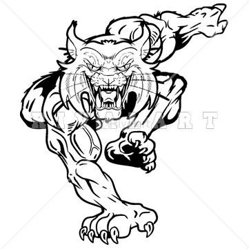 361x361 wildcat clipart drawing - Wildcat Drawing