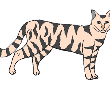 370x297 simple wildcat drawing archives - Wildcat Drawing