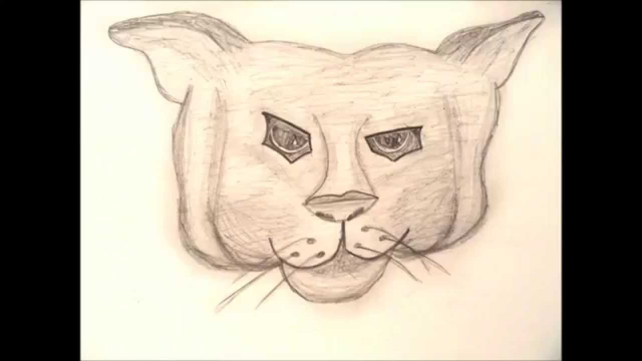 1280x720 drawing - Wildcat Drawing