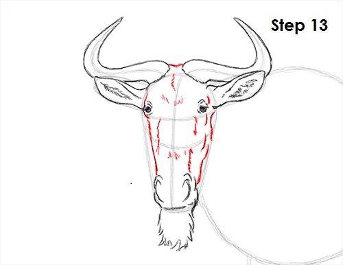 500x386 How To Draw A Wildebeest - Wildebeest Drawing