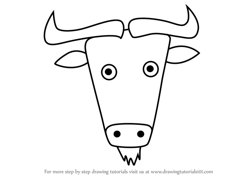 800x567 Learn How To Draw A Wildebeest Face For Kids - Wildebeest Drawing