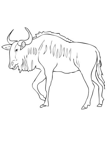 360x480 Eddie Blue Wildebeest, Coloring Pages - Wildebeest Drawing