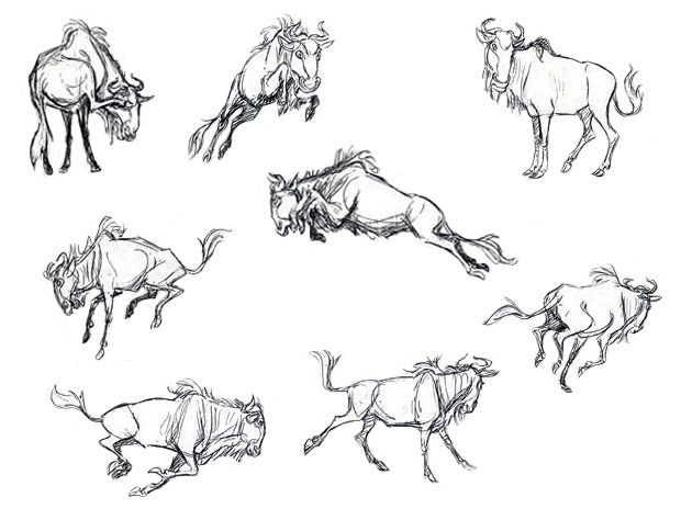 620x474 resultado de imagen de wildebeest drawings creatures animal - Wildebeest Drawing