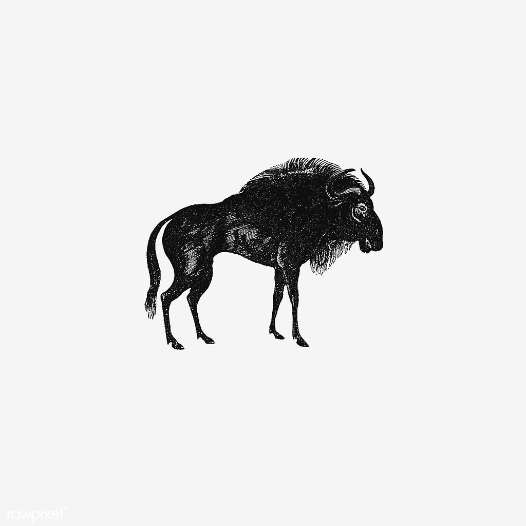 1024x1024 Wildebeest Shade Drawing Free Download Under Cc - Wildebeest Drawing