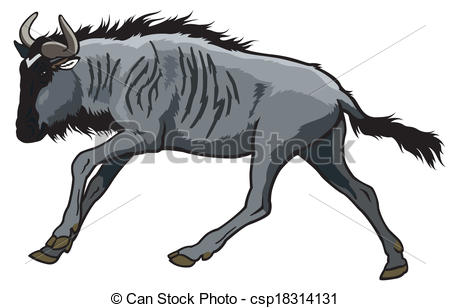 450x308 Blue Wildebeest Drawings - Wildebeest Drawing