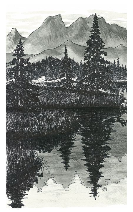 452x720 wilderness reflections - Wilderness Drawings