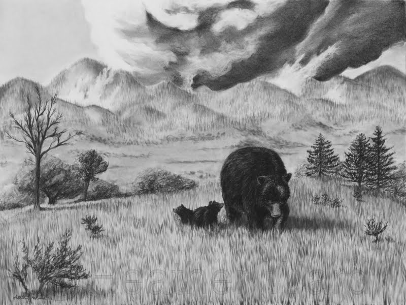 800x600 heather ward wildlife art august - Wildfire Drawing