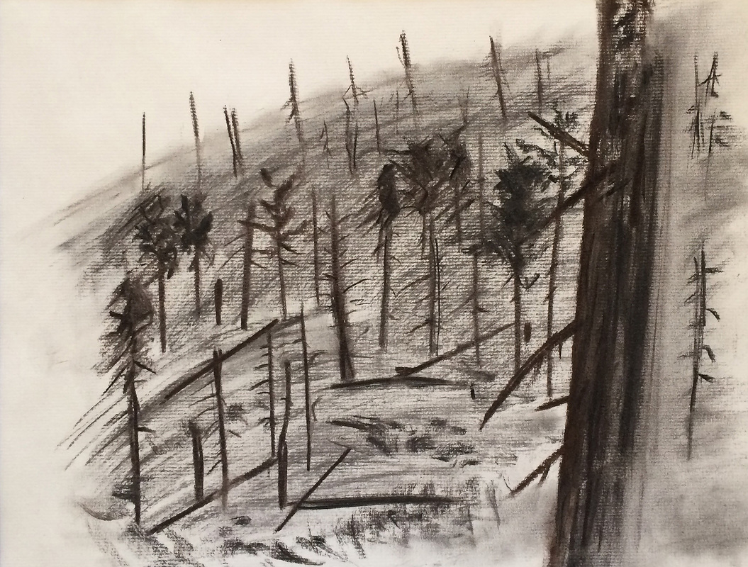 1055x800 wild fire drawings and paintings - Wildfire Drawing