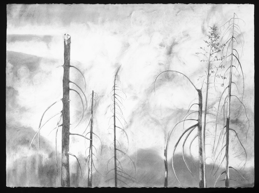 1000x746 wildfire drawings eric martin projects - Wildfire Drawing