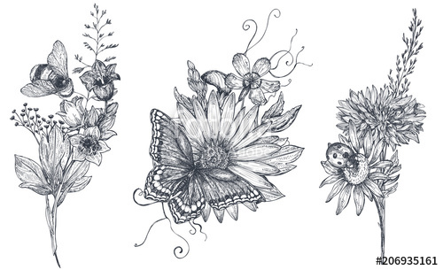 500x305 set of three vector floral bouquets with black and white hand - Wildflower Bouquet Drawing