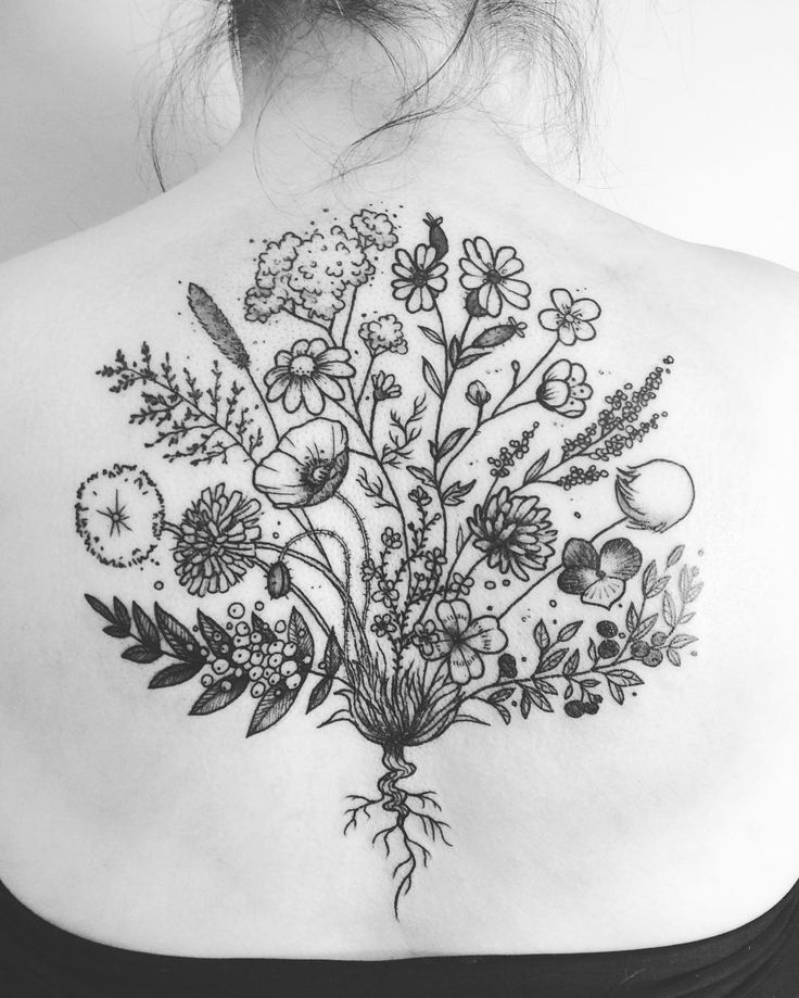 736x919 wildflower bouquet drawing roses gardening flower and vegetables - Wildflower Bouquet Drawing