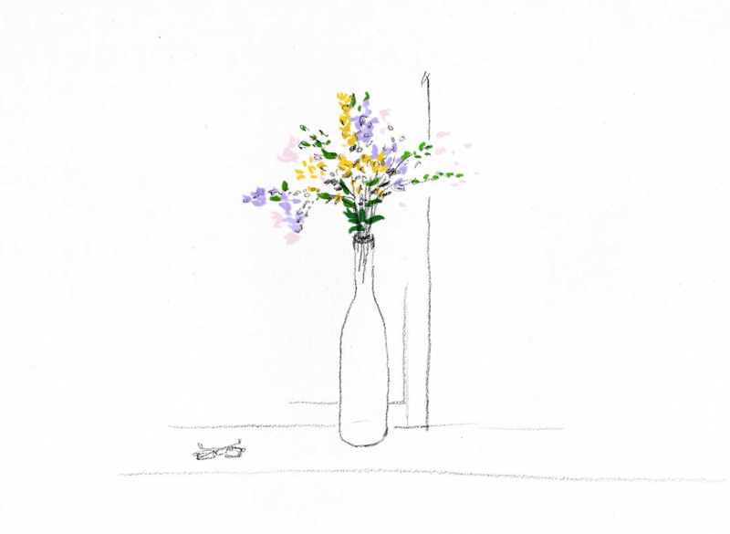 800x585 wildflowers bouquet jin kang park blog - Wildflower Bouquet Drawing