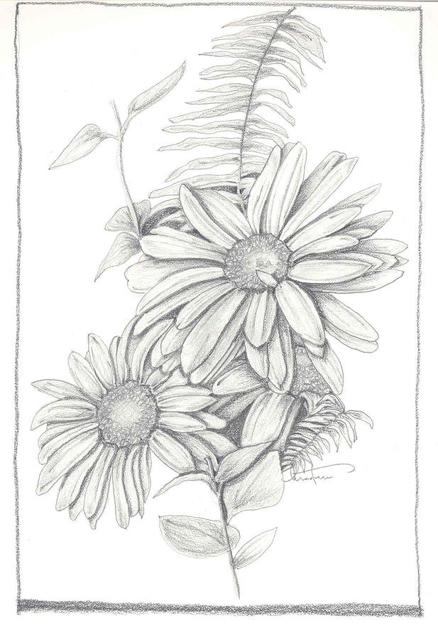 617x900 wildflowers drawing - Wildflower Bouquet Drawing