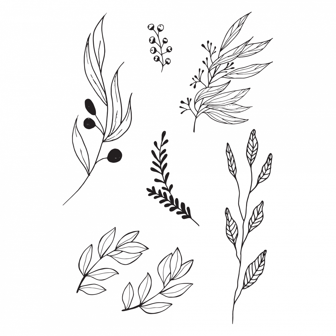 1110x1110 collection of free wildflower drawing simplistic download on ui ex - Wildflower Drawing