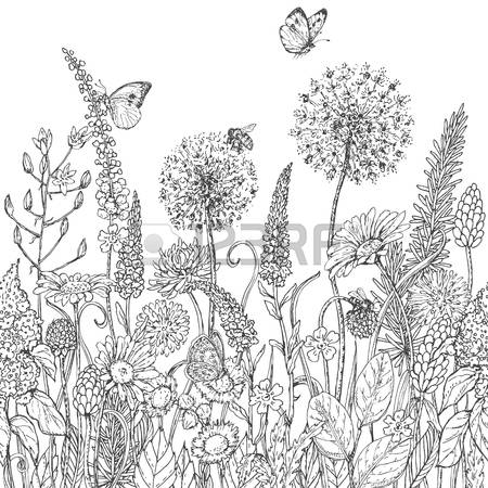 450x450 drawn wildflower drawing - Wildflower Drawing