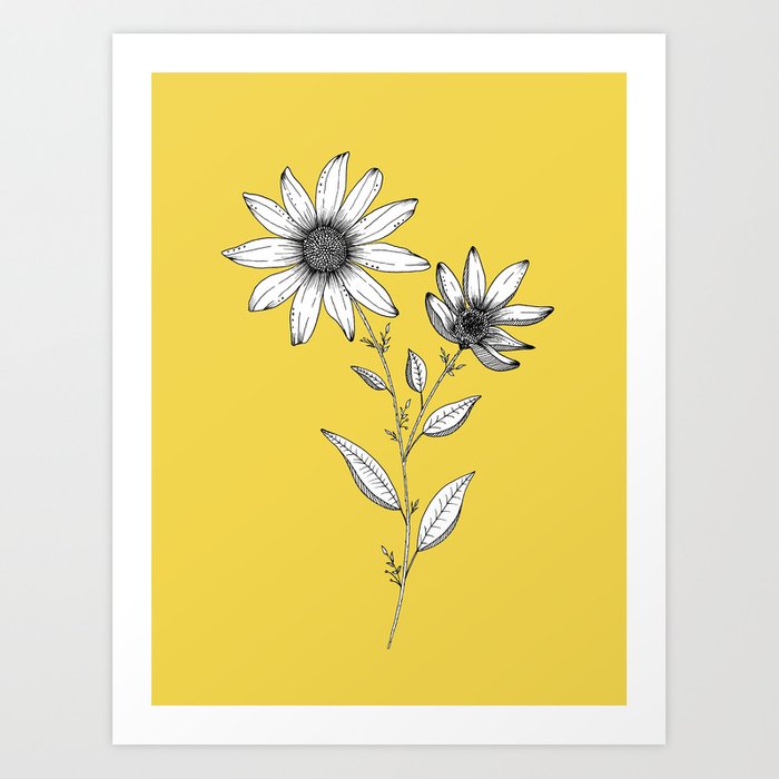 700x700 wildflower line drawing botanical art art print - Wildflower Drawing