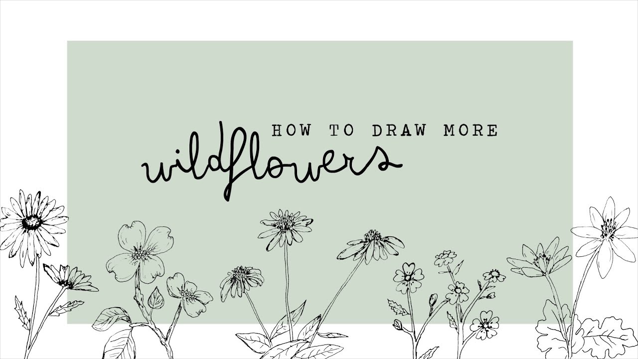 1280x720 How To Draw More Wildflowers - Wildflower Drawing
