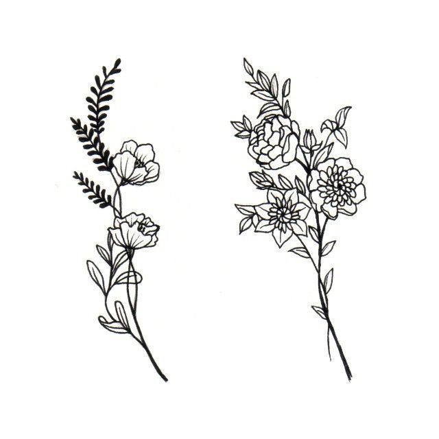 Wildflower Drawing at PaintingValley.com | Explore collection of