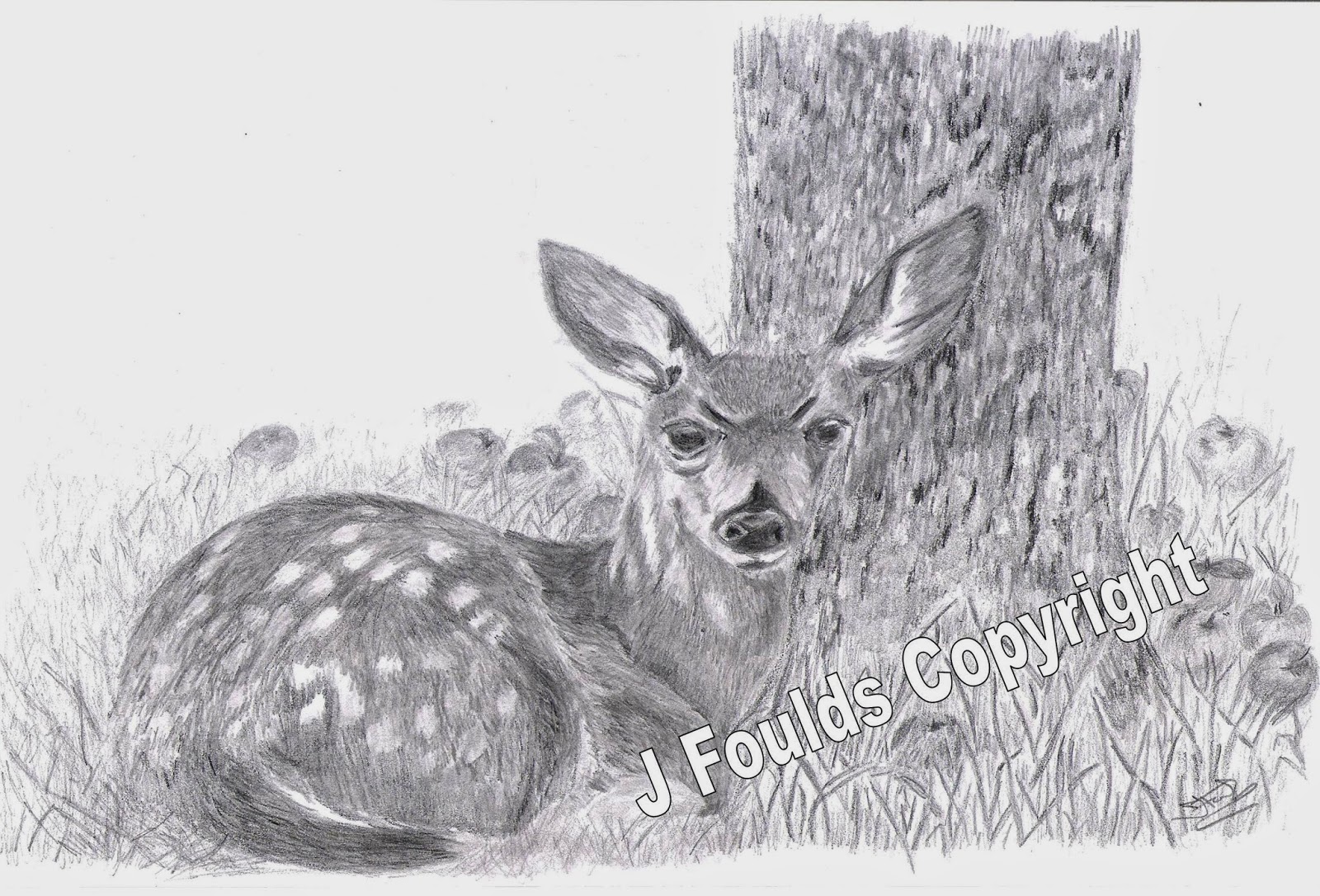 1600x1086 in shades of grey wildlife drawing bambi dointdayart - Wildlife Drawing