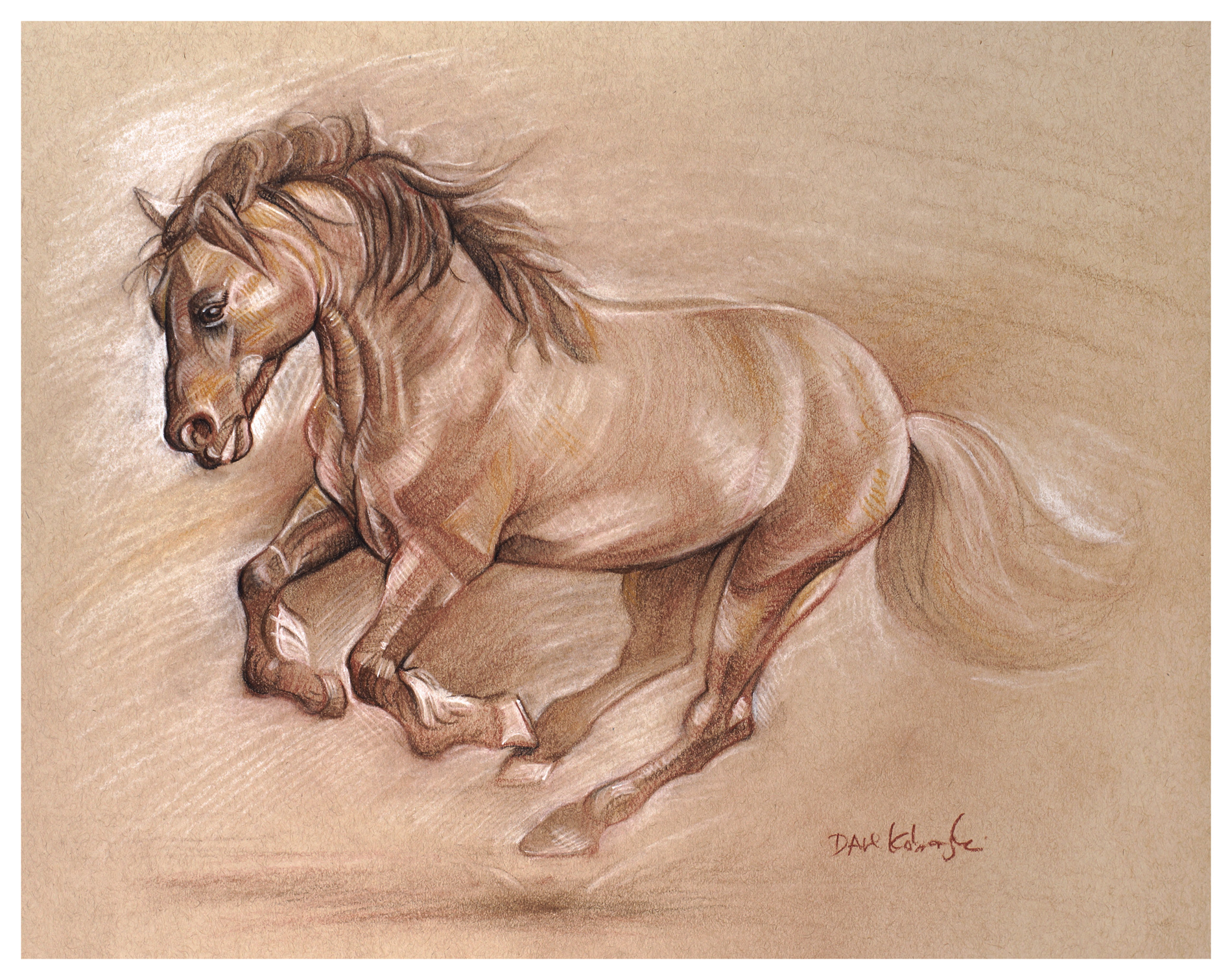 Дикая лошадь рисунок