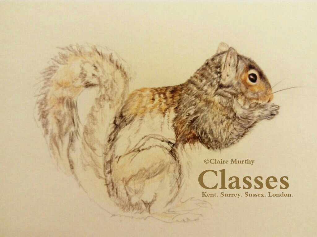 1024x768 wildlife drawing classes - Wildlife Drawing