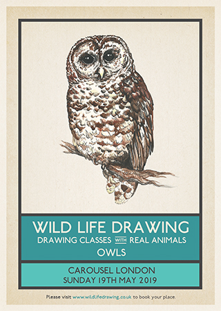 320x450 Forthcoming Classes - Wildlife Drawing