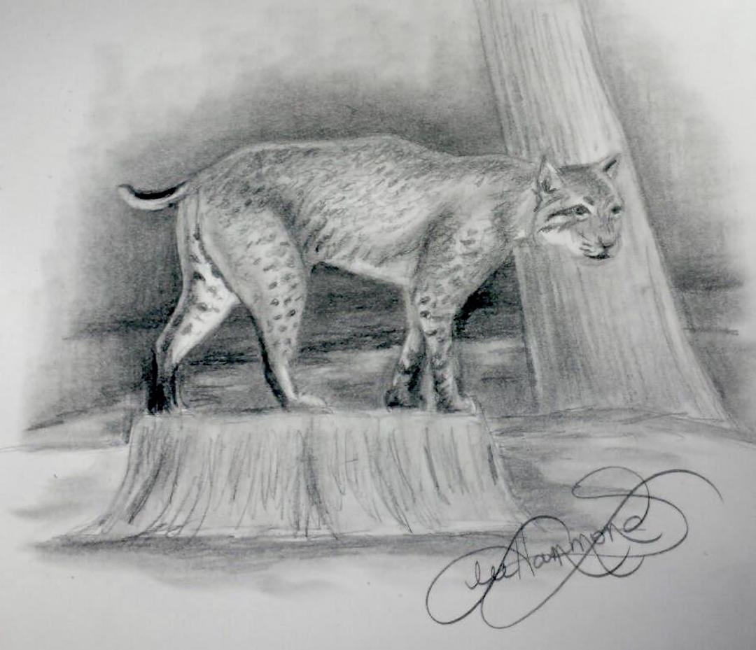 1080x929 These Simple Steps To Drawing From Life Will Boost Your Artistic - Will Drawing