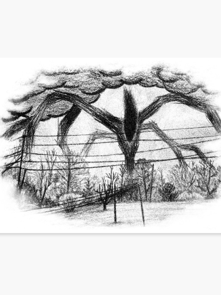 750x1000 Will Drawing - Will Drawing