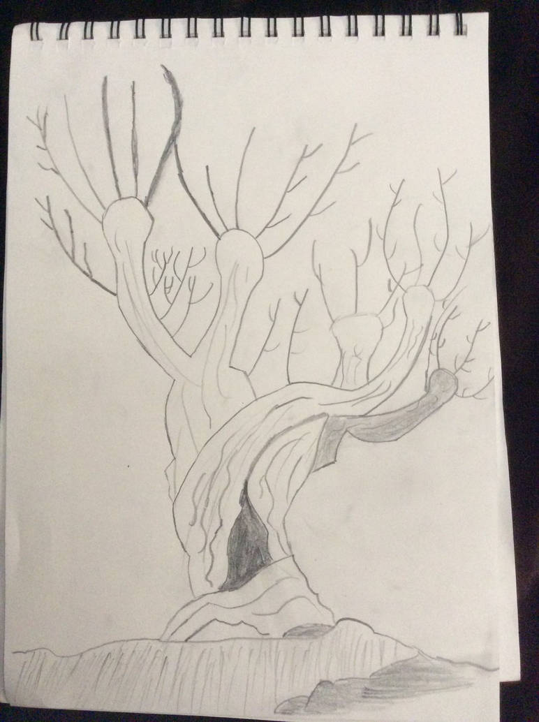 772x1034 The Whomping Willow Drawing - Willow Drawing