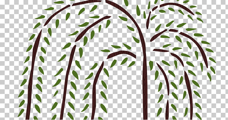 728x383 tree weeping willow drawing stencil, willow trees png clipart - Willow Drawing