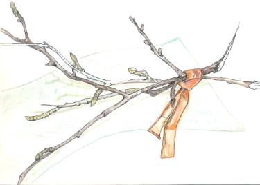 375x268 Willow Drawing - Willow Drawing