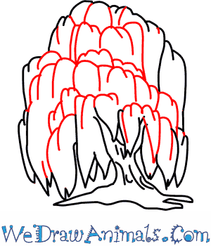 300x350 How To Draw A Willow Tree - Willow Tree Drawing