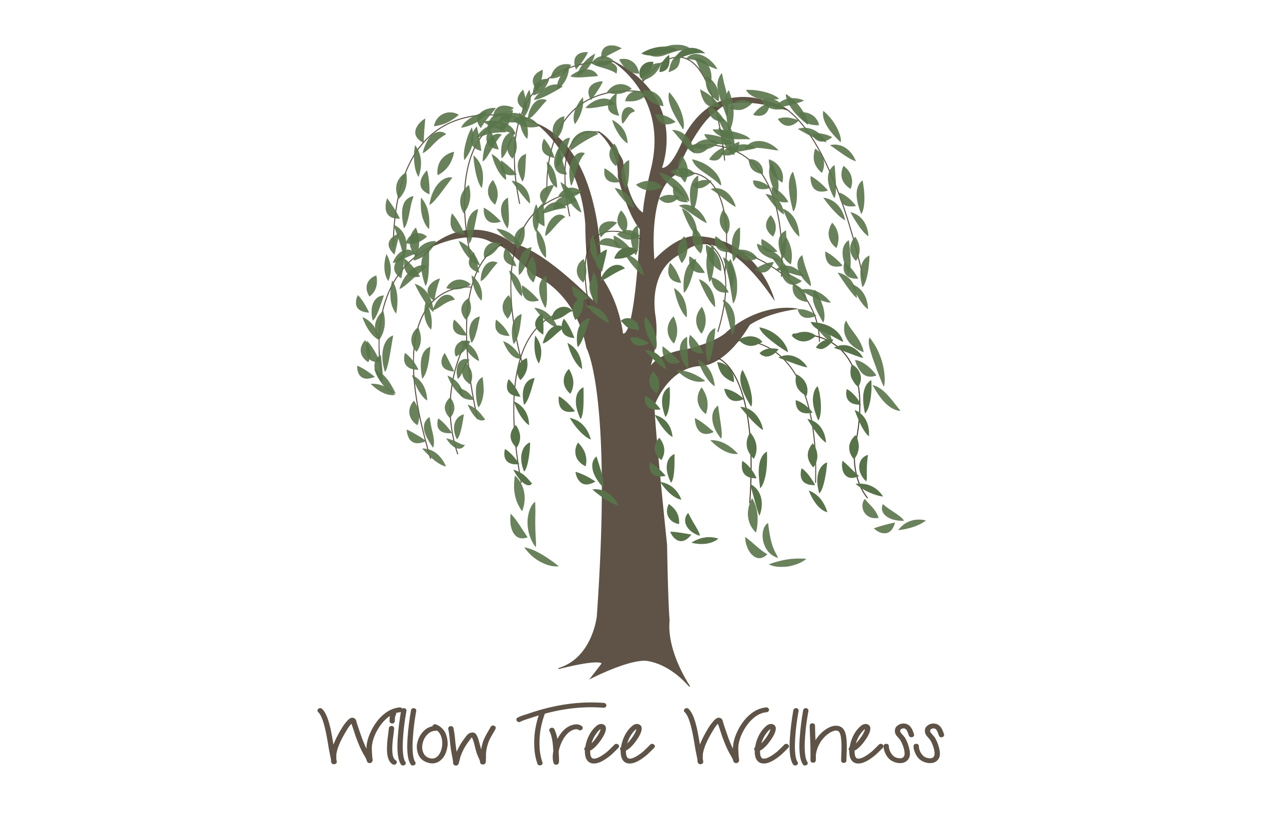 2550x1651 Image Result For How To Draw Weeping Willow Graphics - Willow Tree Drawing