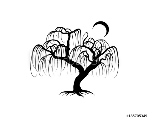 500x400 Line Art Black Willow Tree With Moon Hand Drawing Logo Silhouette - Willow Tree Drawing