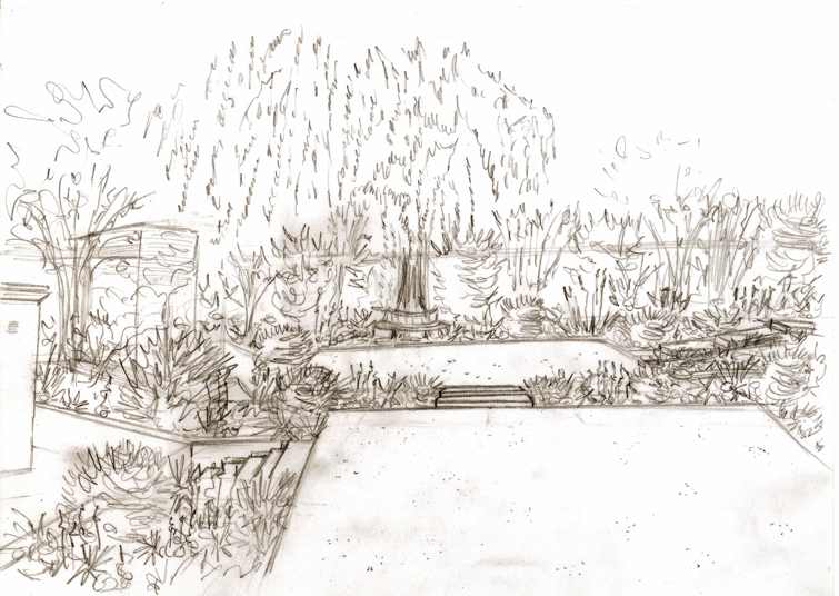 755x536 Weeping Willow Tree Lisa Cox Garden Designs Blog - Willow Tree Drawing
