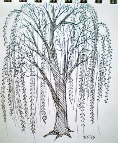 400x484 Willow Tree Drawing Go Back Gt Pix For Gt Simple Willow Tree - Willow Tree Drawing