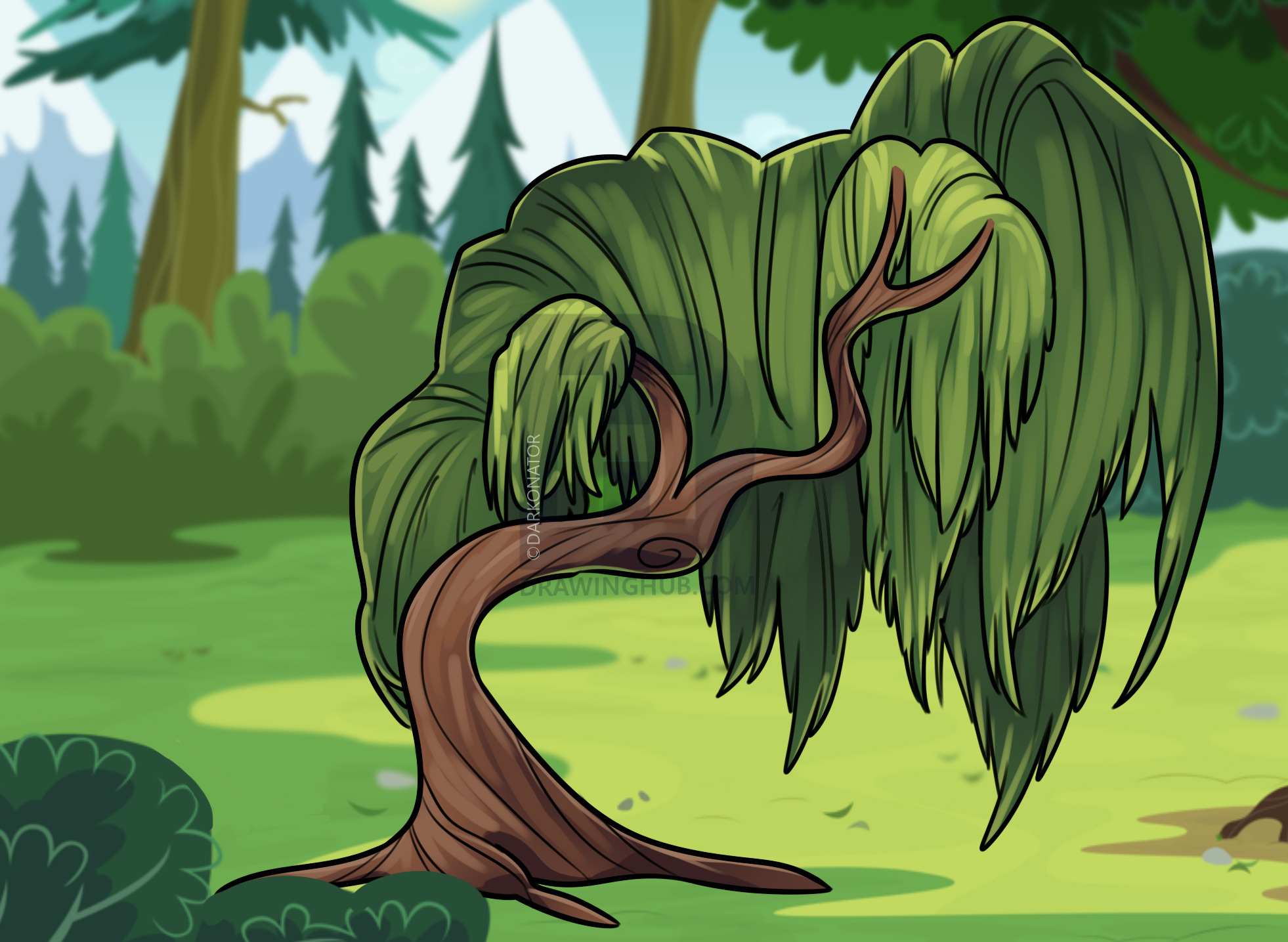 1962x1435 Willow Tree Drawing Lesson, Step - Willow Tree Drawing