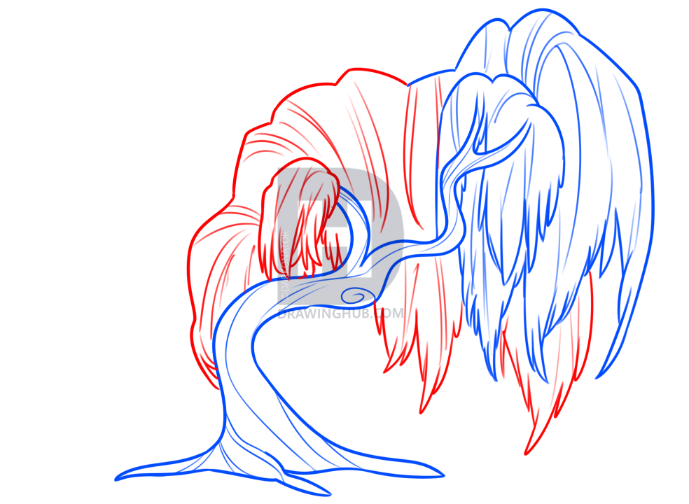 984x720 Willow Tree Drawing Lesson, Step - Willow Tree Drawing