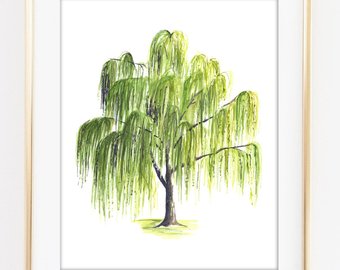 340x270 Willow Tree Art Etsy - Willow Tree Drawing